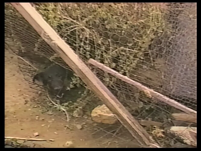 Screenshot from The Tragedy at Cajon Pass.