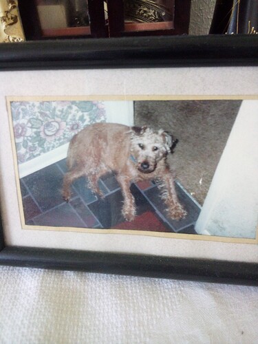 17756715233302281095881653444806