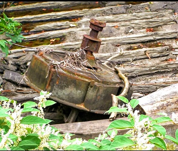 Screenshot_20260124-160120 (1)