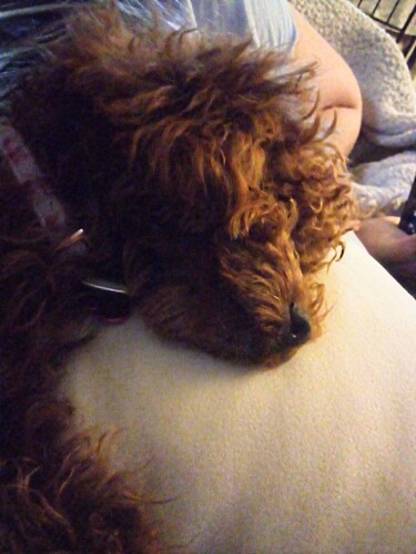 IMG_20250507_201929~2